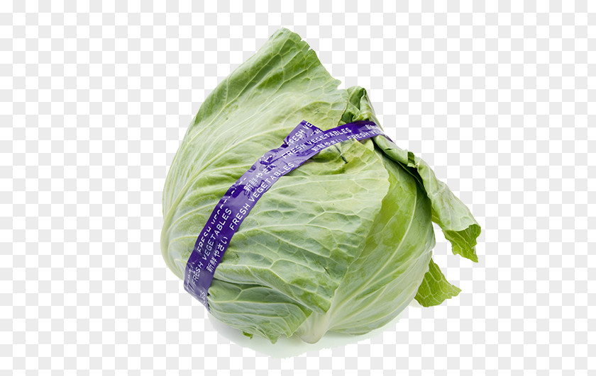 Fresh Green Cabbage Red Brussels Sprout Kale Vegetable PNG