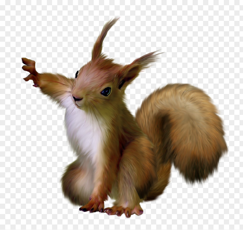 Squirrel Scrat Rodent Clip Art PNG