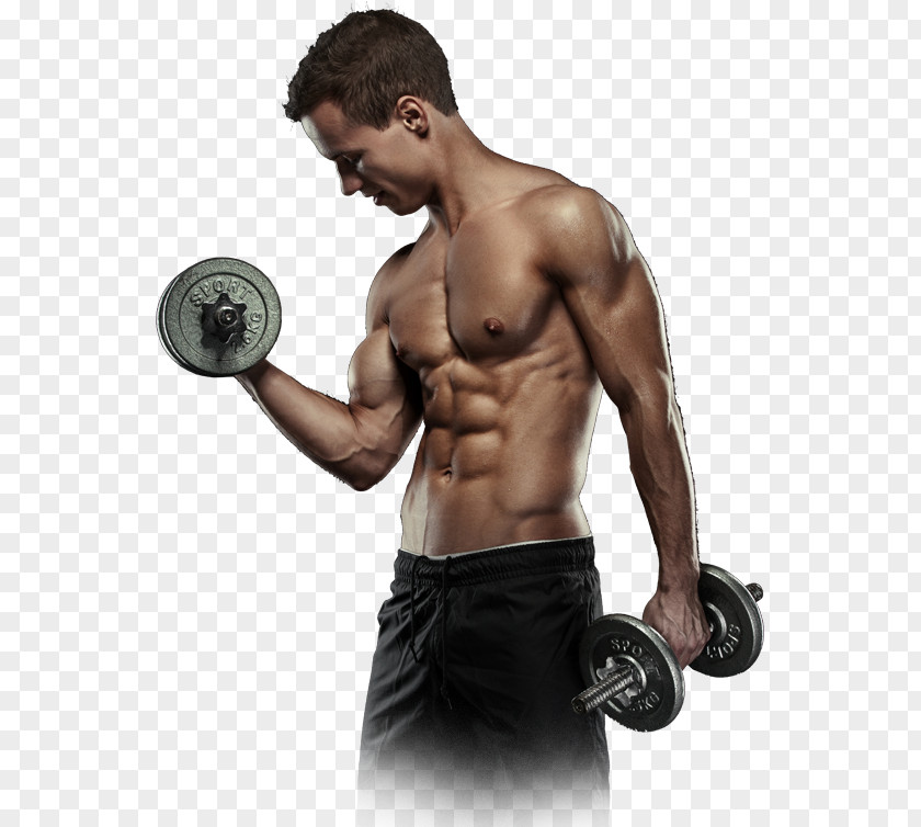 Barbell Weight Training Shoulder PNG