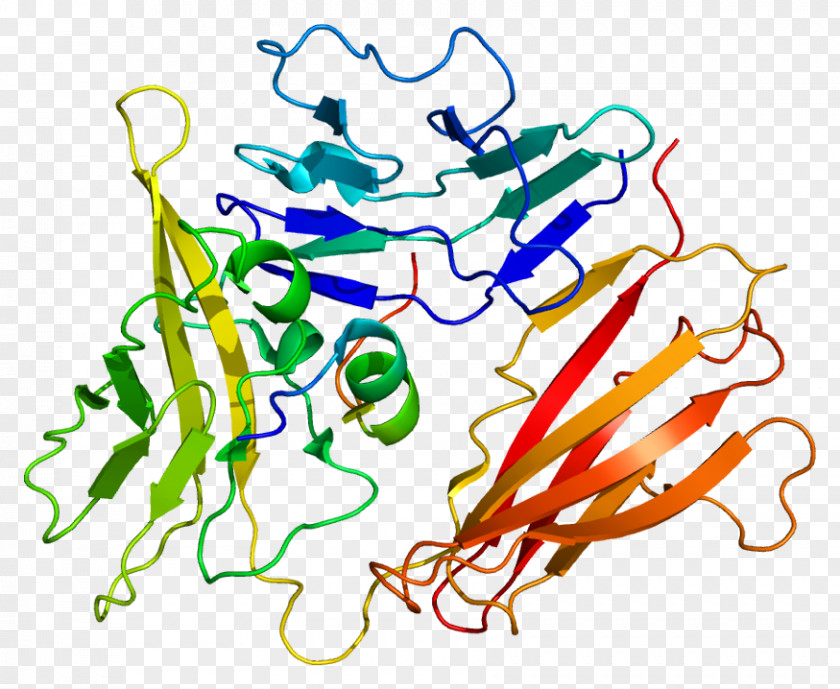 Biological Interleukin-1 Family Interleukin 1 Receptor, Type I Receptor Antagonist IL1A PNG