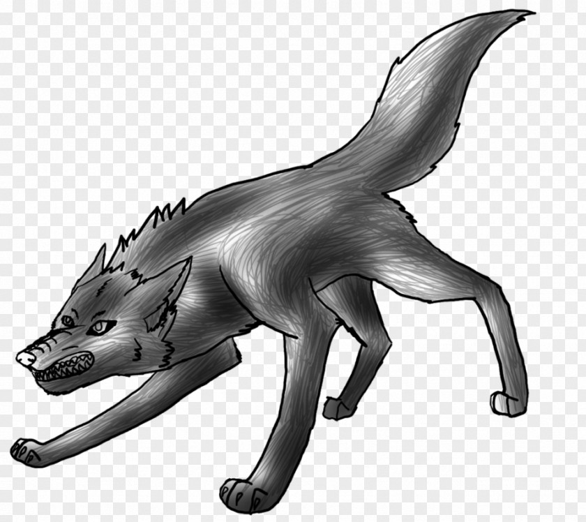 Cat Canidae Dog Drawing Fauna PNG