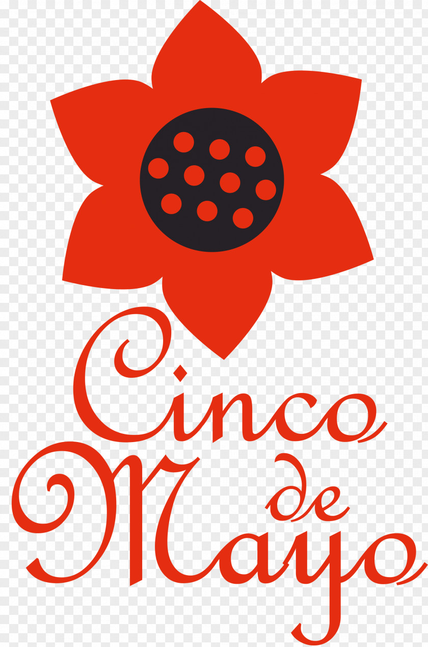 Cinco De Mayo Fifth Of May PNG