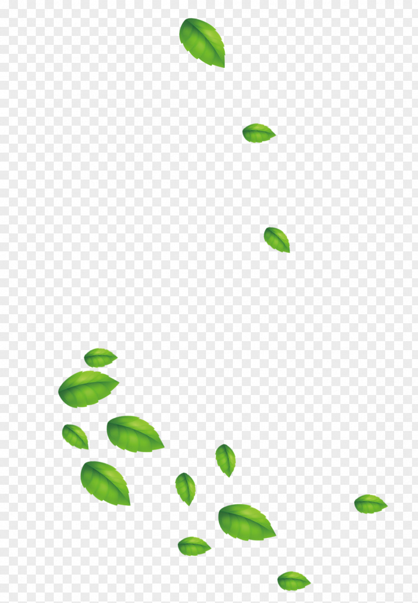 Green And Fresh Leaves Floating Material Leaf Designer PNG