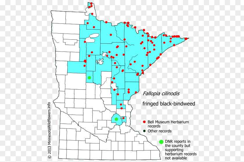 Line Minnesota Point Angle Diagram PNG