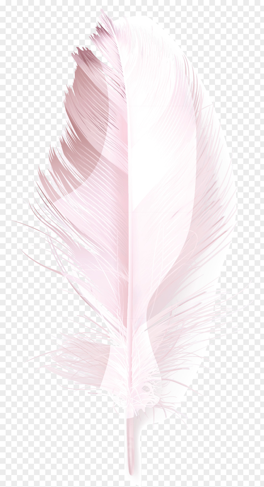 Pink Feather PNG