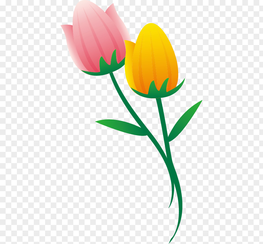 Tulip Clip Art PNG