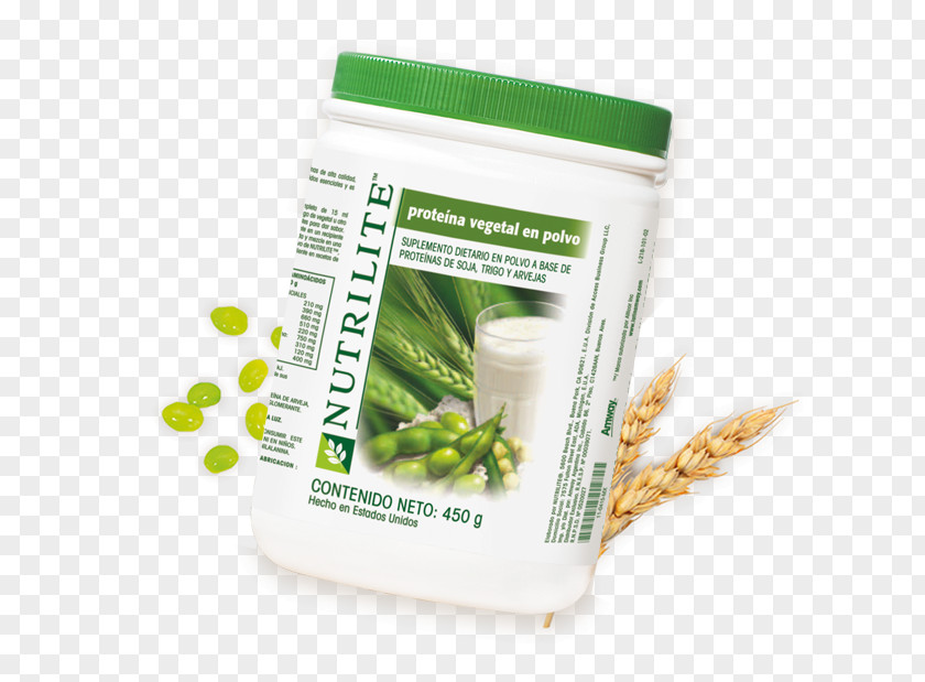 Vegetal Amway Nutrilite Superfood Herb PNG