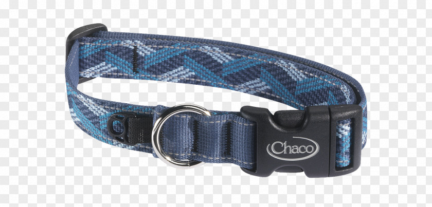 Dog With Collar Rockford Leash PNG
