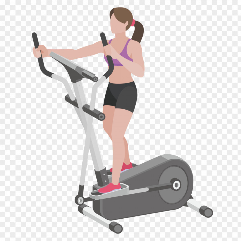 Fitness Beauty Elliptical Trainer Physical Exercise Centre PNG