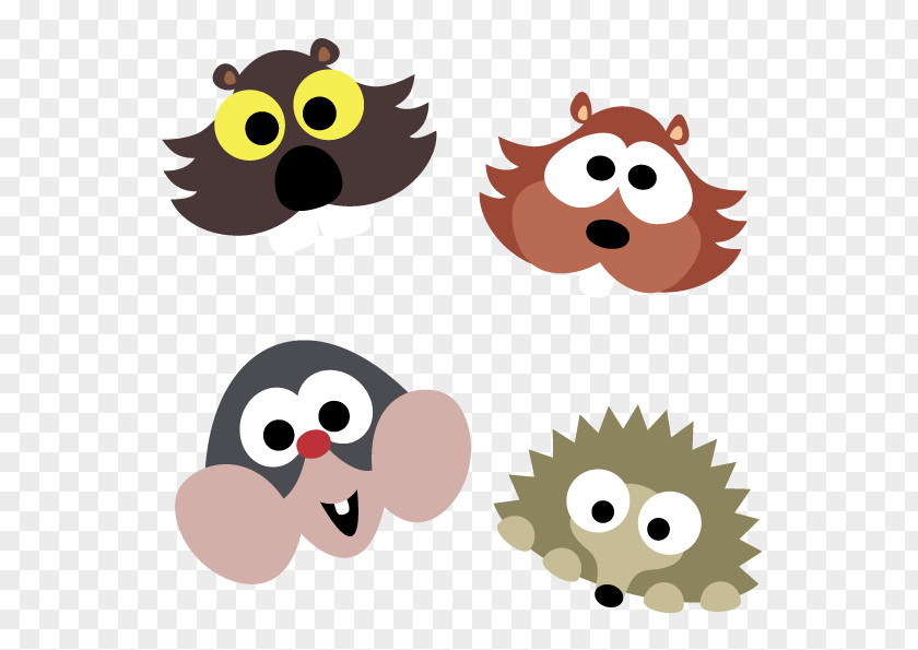 Owl Beak Snout Clip Art PNG