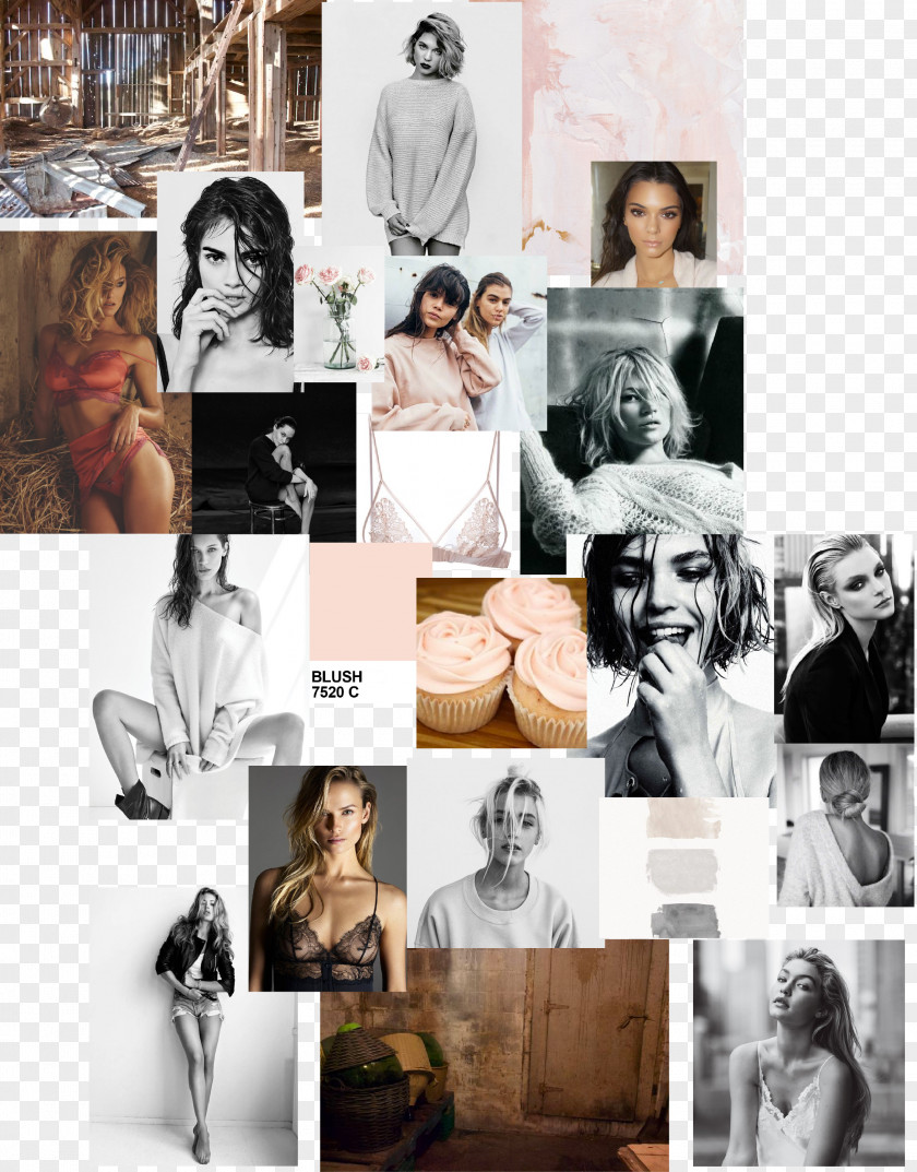 Design Mood Board Fashion Photography Collage PNG