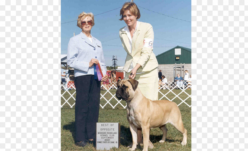 Dog Breed Sporting Group Retriever Obedience Training PNG