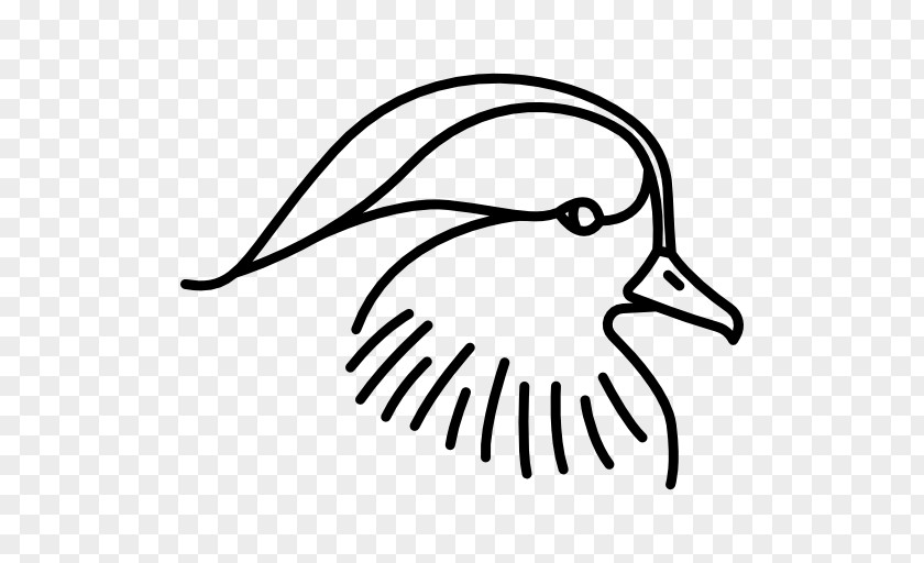 Duck Hummingbird Clip Art PNG