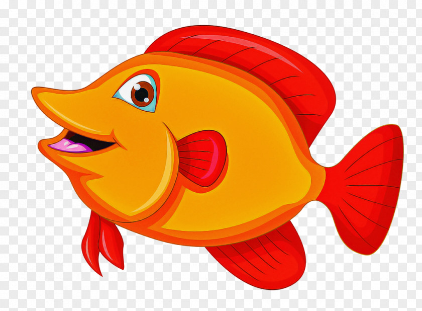 Fish Cartoon Goldfish Bony-fish PNG