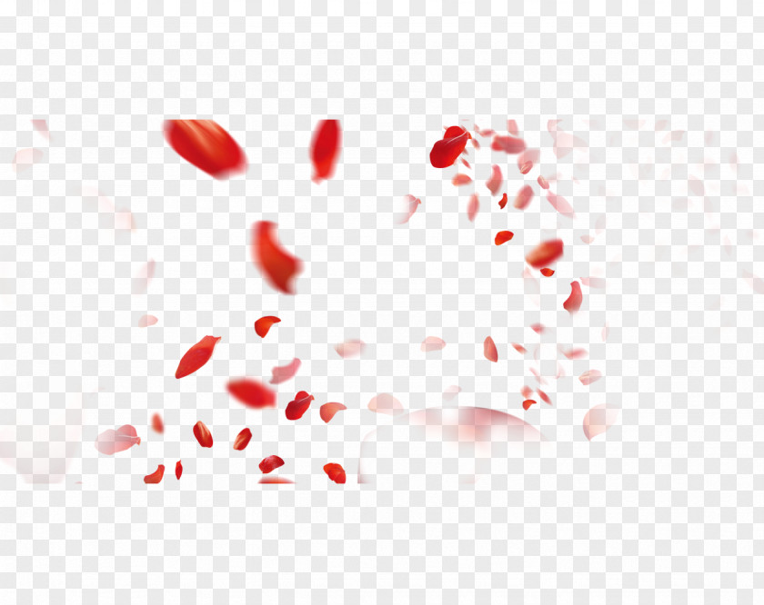 Flowers Petal Beach Rose PNG