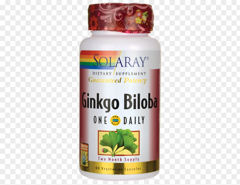 Ginkgo-biloba Dietary Supplement Ginkgo Biloba Extract Capsule Flavor PNG