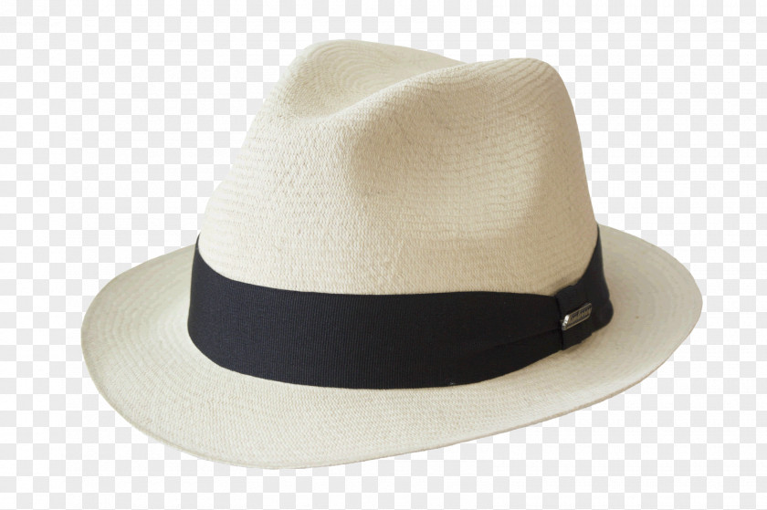 Hat Panama Fedora Trilby Straw PNG
