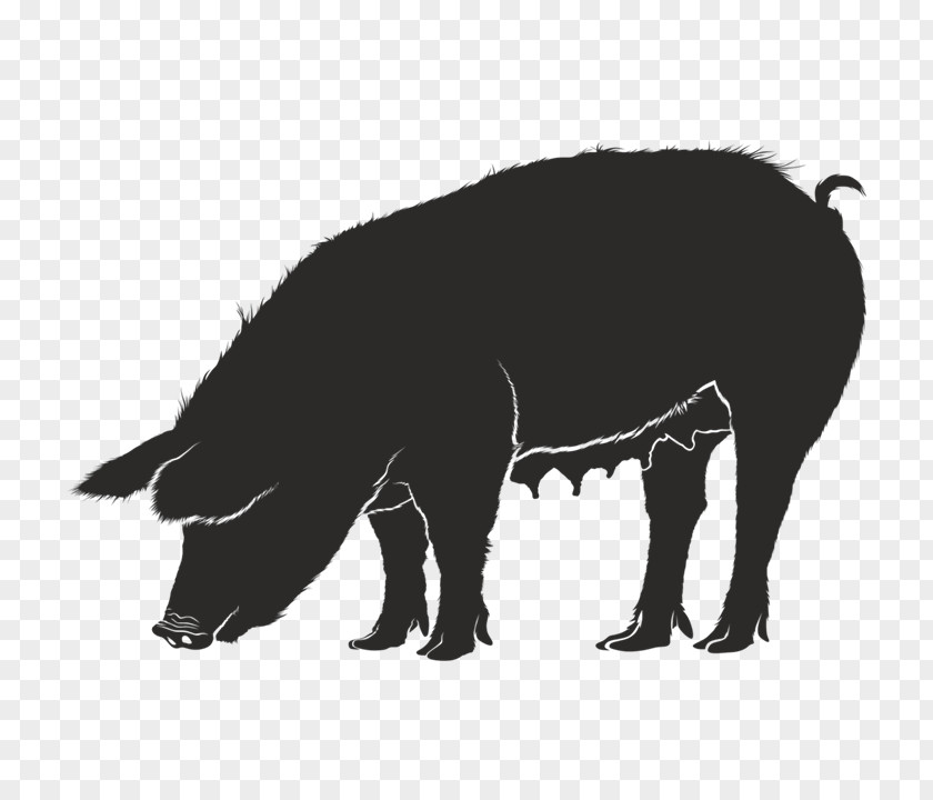 Silhouette Domestic Pig Guinea Clip Art PNG