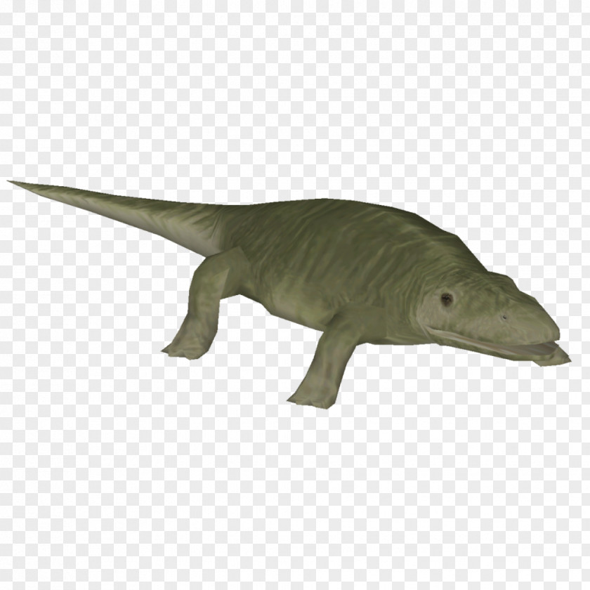 Amphibian Eryops Dinosaur Permian Animal PNG