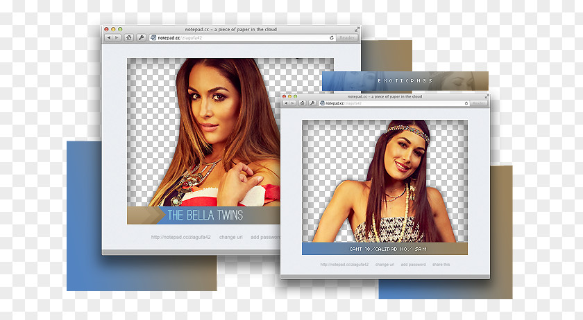 Bella Twins Hailee Steinfeld Display Advertising Brand PNG