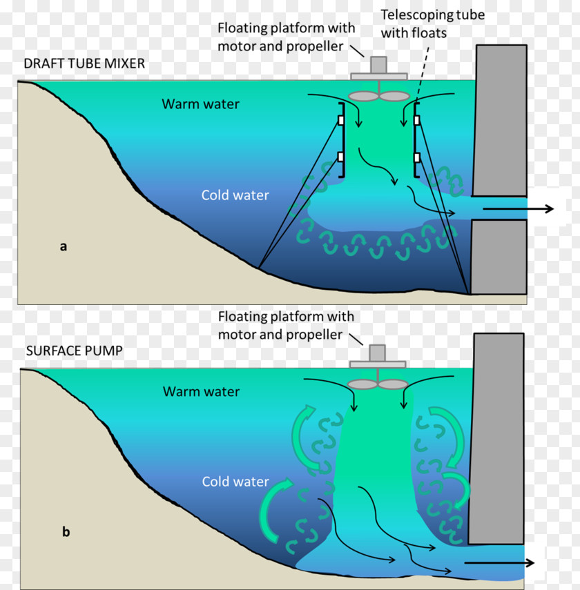 Design Water Resources Ecosystem Animal PNG