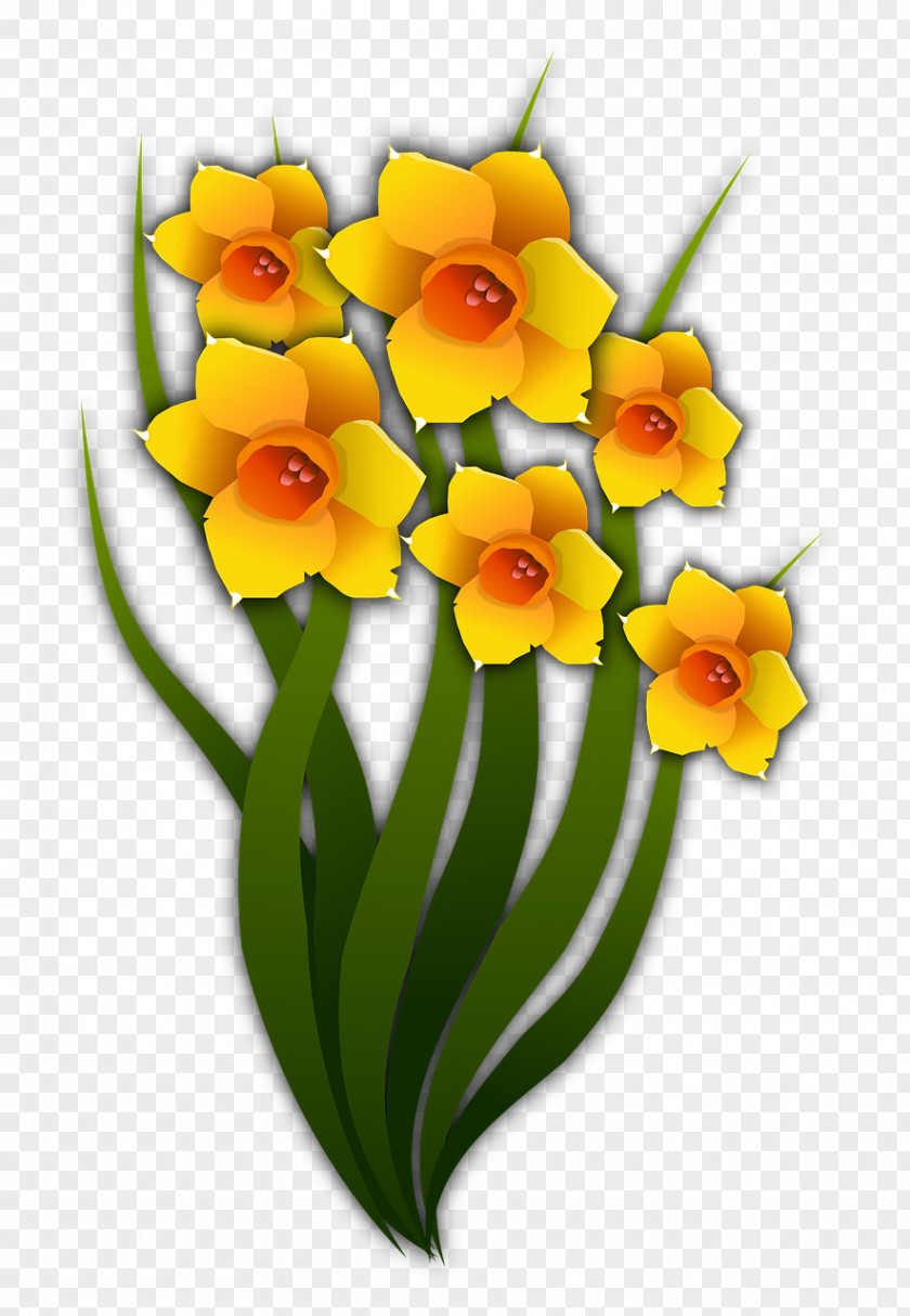 Flower Daffodil Drawing Cut Flowers PNG