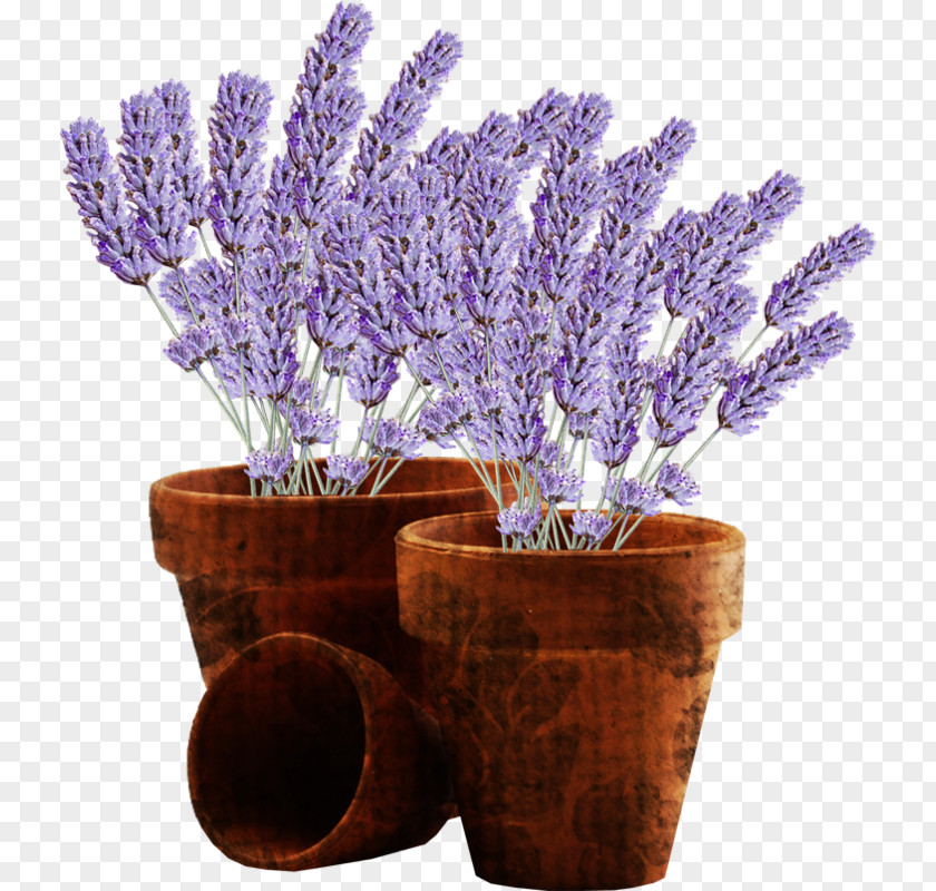 Flower Flowerpot Clip Art PNG