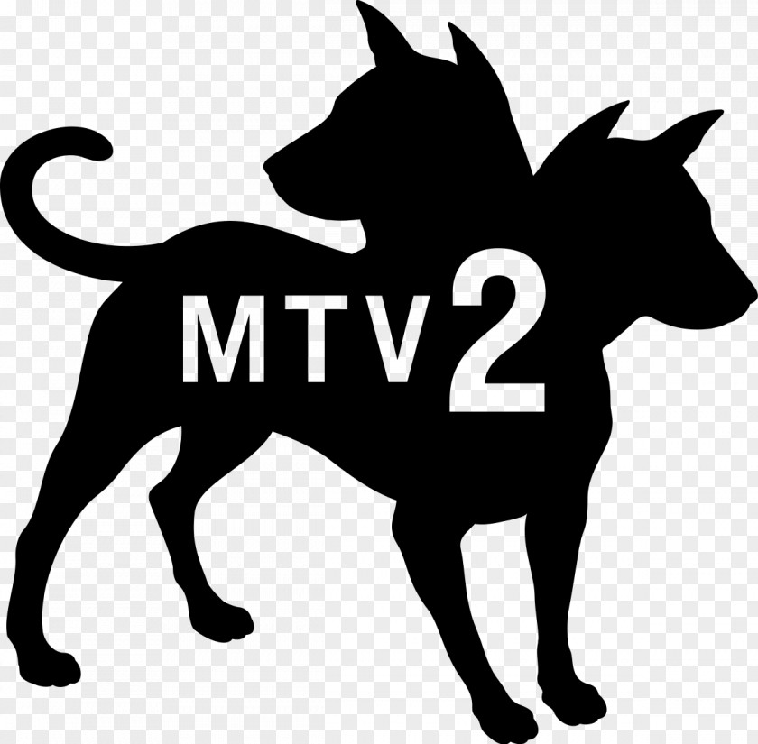Internet Media MTV2 Viacom Networks Television Channel Logo TV PNG