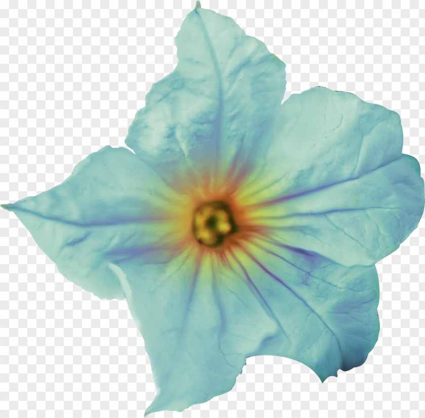 Little Fairy Flower Petal Clip Art PNG