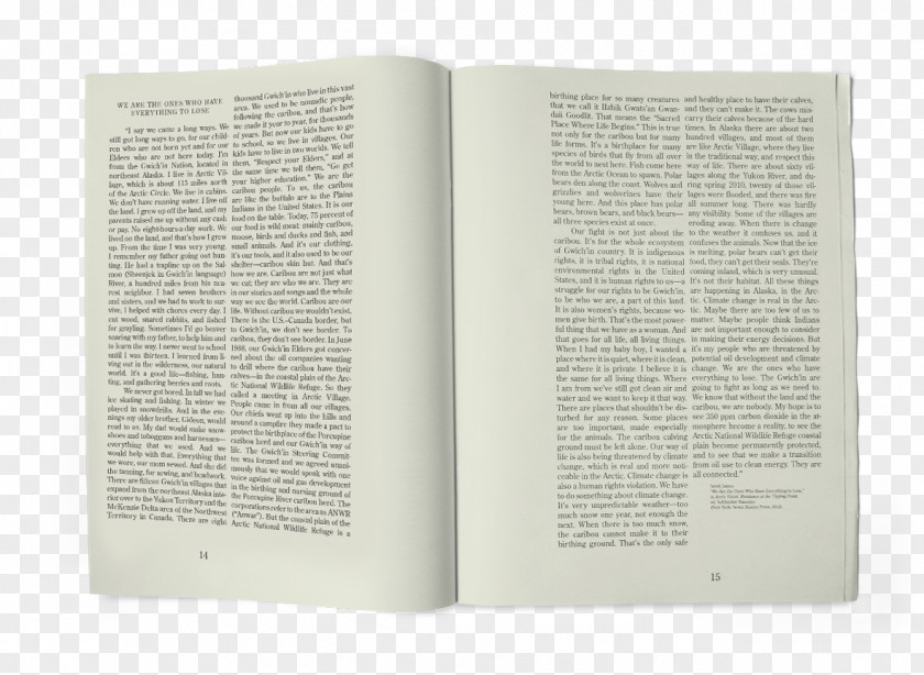 PARADİSE Book Font PNG