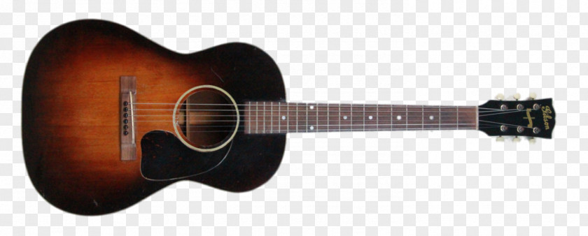 Acoustic Guitar Acoustic-electric Cort Guitars Tiple PNG