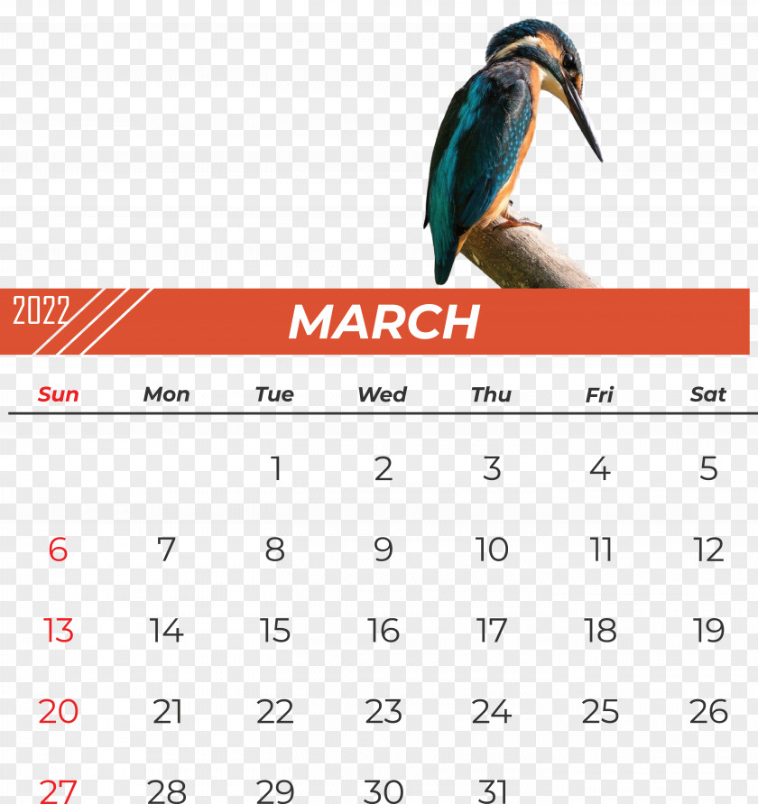 Birds Calendar Beak Font Meter PNG