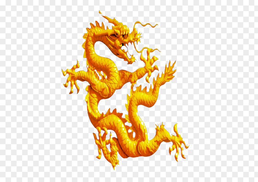 Dragon China Chinese Fenghuang PNG