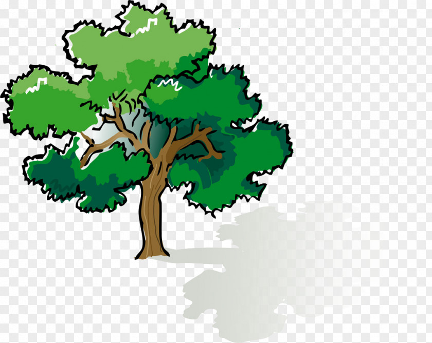 Lush Tree Shade Oak Clip Art PNG