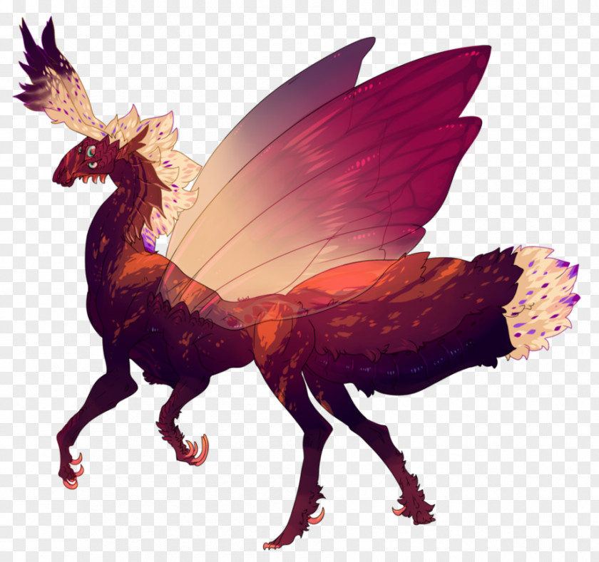 Moth Drawing Rooster PNG
