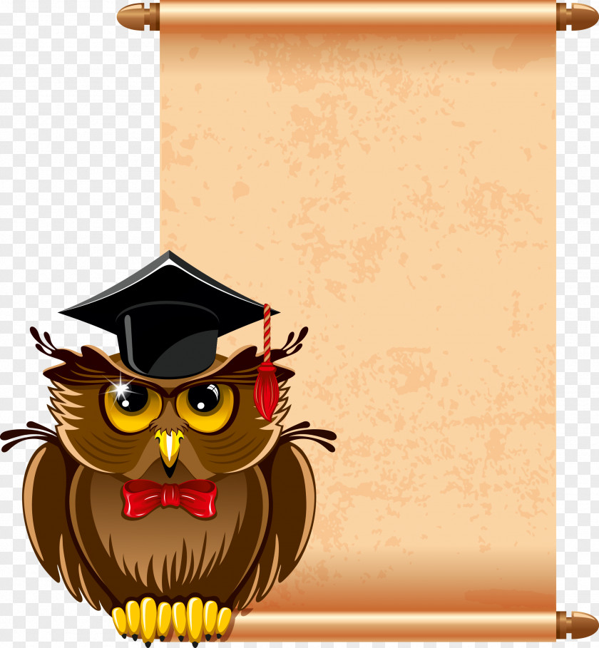Owl Graduation Clip Art PNG