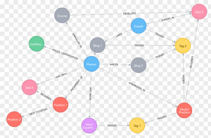 Social Graph Neo4j Diagram Database Human Capital PNG