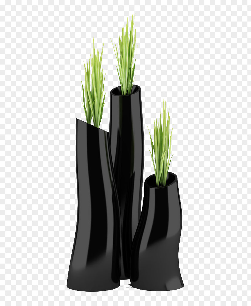 Vase Flowerpot Houseplant Illustration PNG