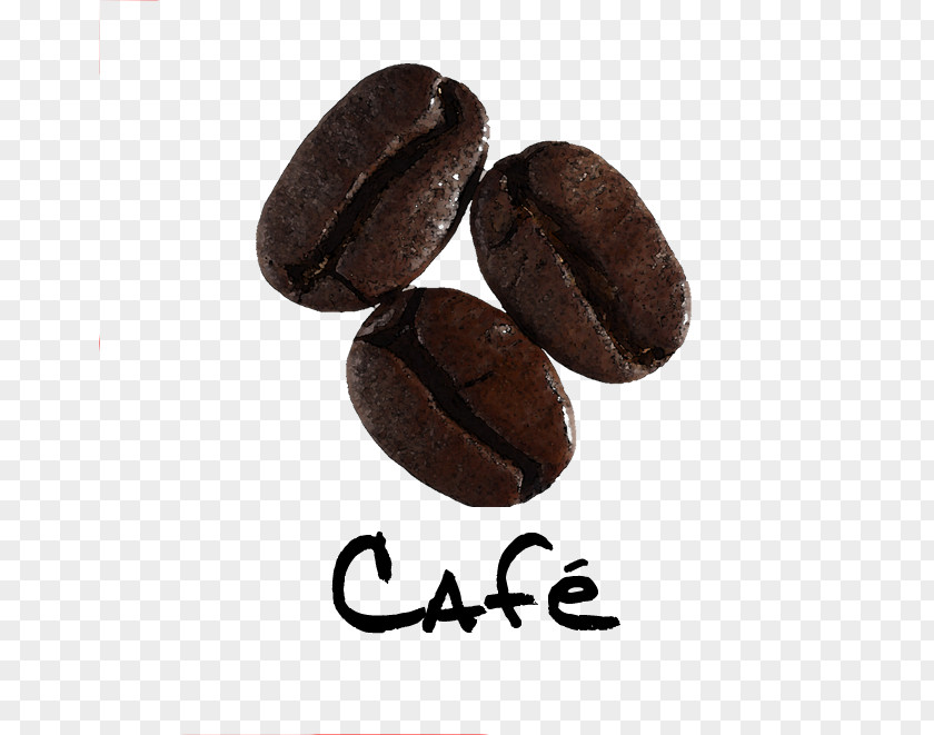 Avalanche Jamaican Blue Mountain Coffee Commodity Cocoa Bean Cacao Tree PNG