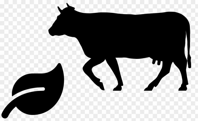 Blackandwhite Snout Bovine Cow-goat Family Bull Silhouette Line Art PNG