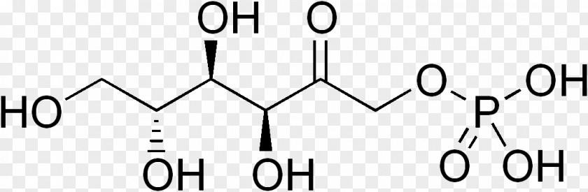 Ribose 5-phosphate Ribose-5-phosphate Isomerase Deficiency Chemistry PNG