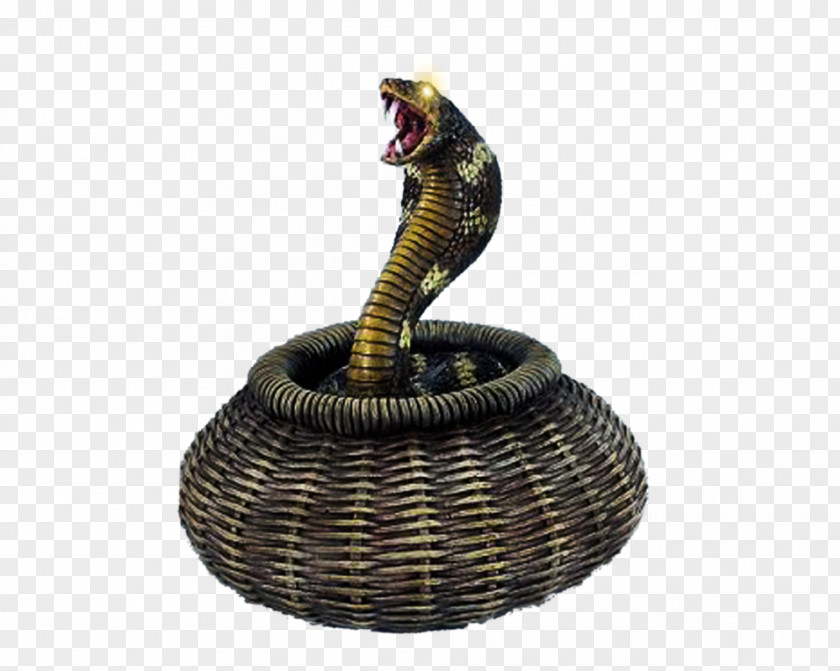 Basket Snake Reptile Desktop Wallpaper PNG