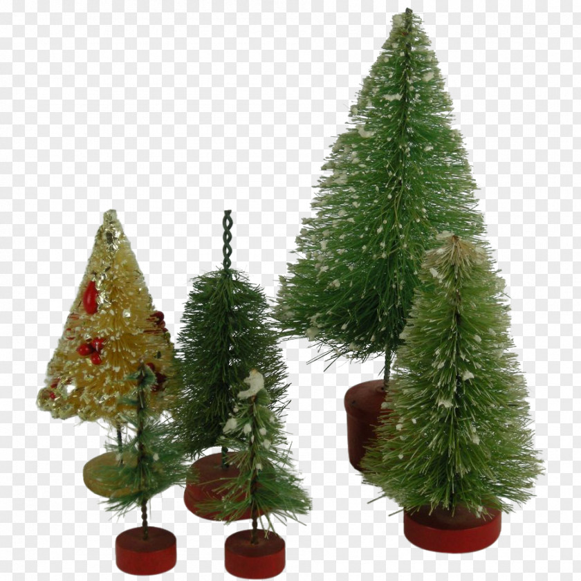 Brushes Trident Decorations Christmas Tree Ornament Melaleuca Citrina Ruby Lane PNG