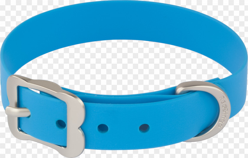 Dog Collars Collar Dingo Polyvinyl Chloride PNG