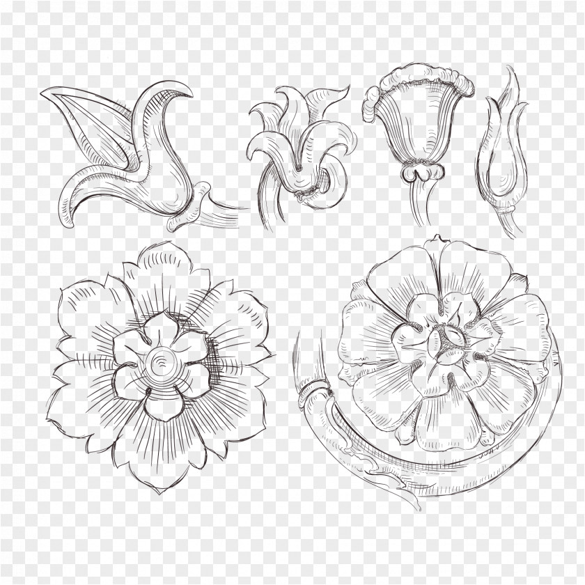 Floral Sketch Vector Material Drawing Line Art Painting PNG