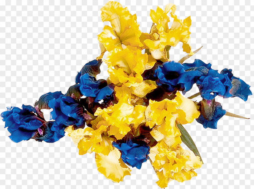 Iris Cut Flowers Floral Design Cobalt Blue PNG