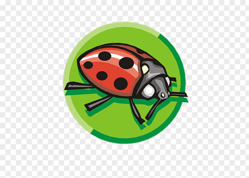 Lok Fu Ladybird Insect Clip Art PNG