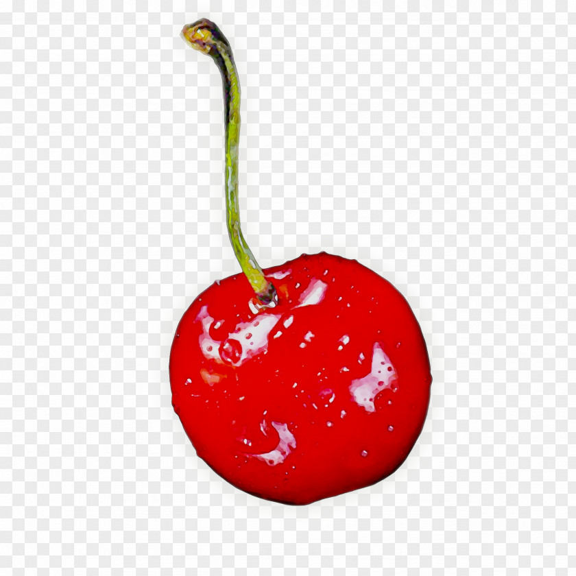 Strawberry Christmas Ornament PNG