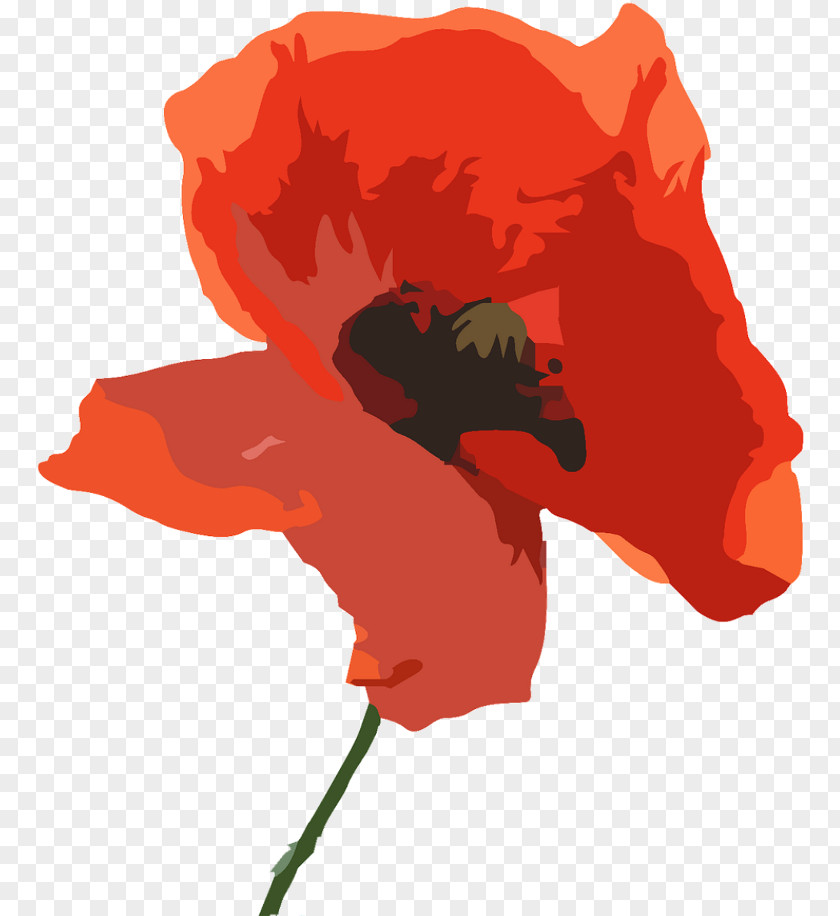 Tulip Wildflower Remembrance Day Poppy PNG