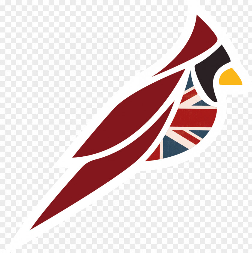 United Kingdom Arizona Cardinals Chicago Bears NFL PNG